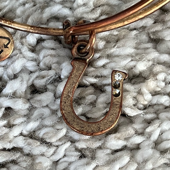 Alex and Ani charm bangles set of 9 - Picture 8 of 11